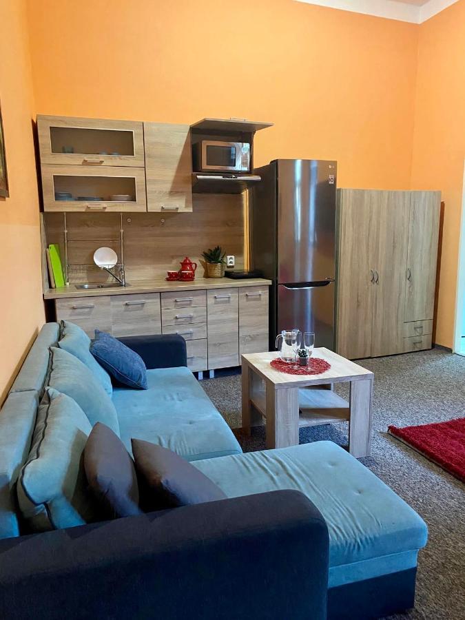 Apartment Thermal Teplice